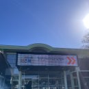 신성목장 | 🐴 한국마사회 제주 목장 방문기트랙터 타고 목장 한 바퀴, 이게 바로 힐링이지!