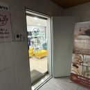 메이제이스킨