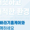 해바라기홈케어