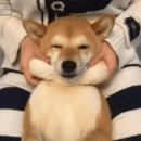 탑산후조리원 | [출산일기 D-33] 탑산후조리원 산전마사지 1회차 솔직후기