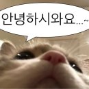 옛날 불한증막 이미지