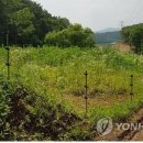 울타리