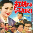 홍도야 우지마라 이미지