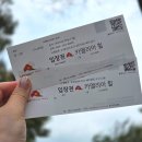 동백꽃 물들다 | [일상]제주여행 동백에 물들다_카멜리아힐