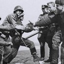 에스플란트치과병원 이미지