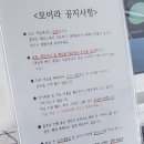 모이라펜션;모이라