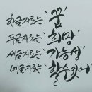 인셀덤뷰티 이미지