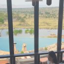 초원당구클럽 이미지