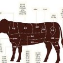 제사 소고기산적 만들기 제사산적 소고기산적 양념 부위 이미지