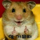 빨강 이미지