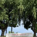 산격야영장 | 2024년 대구 금호강 산격야영장 개장시기