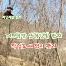 더드림팜