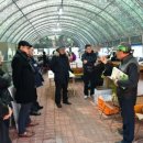 소나무정원 이미지