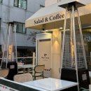 역삼점현대자동차 | 역삼역맛집 오브제그린 (강남 샐러드)