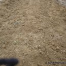 신등농장 이미지