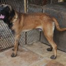 하리 농장 이미지