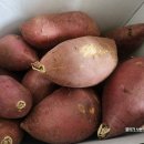 상월농장 이미지