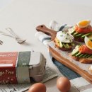 수란농장 이미지