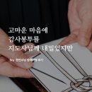 [현진시닝 장례후기] 고마운 마음에 감사봉투를 지도사님께 내밀었지만