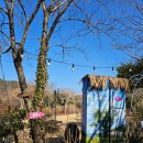 도산일주로 | 통영 도산일주로 물빛소리정원에서의 힐링