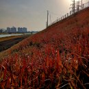 추억소환/어머님 기일에 이미지