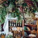 펜타리움 이미지