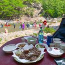 둥지펜션 캠핑장