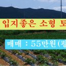충연농장 네이버블로그
