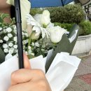 188 | 수원 율전동 꽃집 꽃블리 프로포즈 생일 꽃다발 구매후기