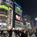 일본 시부야 스카이 후기