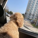 패밀리 동물병원 이미지