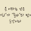 블루오션 티스토리