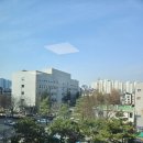 법률사무소선진