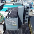 도리농산
