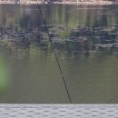 차평낚시터 이미지