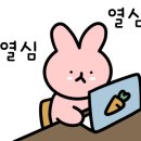 인디어케이크