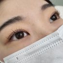 유정앤코 | 반송동 속눈썹펌 유지력 좋은 래쉬앤코