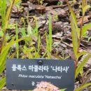 서울식물원 55 주제원1 이미지
