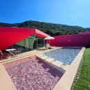 프라이빗핑크트리 이미지