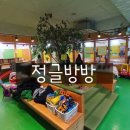 정글방방