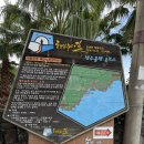 제주 남쪽 중문 관광단지, 베릿내오름, 주상절리를 구경하기 좋은 올레길 8코스