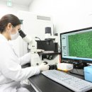 현대메디텍 이미지