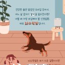 웰동물병원 이미지