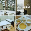 솔방울 펜션 | 속초 고성 숙소 추천, 강원도 독채 펜션 감성숙소 서로재