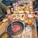 조은한우암소