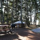 나리와꽃창포 이미지