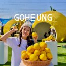 고흥유자석류축제 | 2025 고흥유자축제 꿀잼 후기 내년엔 놓치지 마세요