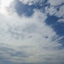 선운지구 이미지