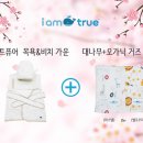 비치홀릭