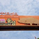 돝섬유람선터미널
